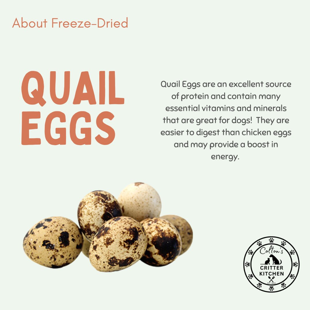 Freeze - Dried Quail Egg Pet Treats - Colton's Critter Kitchen